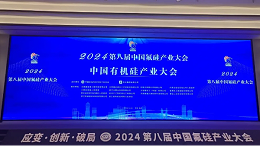 2024第八届中国氟硅产业大会丨技术、模式创新助力氟硅产业健康、绿色发展