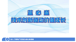 如何通过技术创新驱动价值成长——蓝必盛的成长秘诀